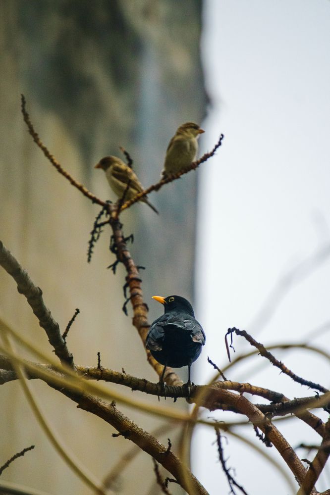 Photograph by kamel draa