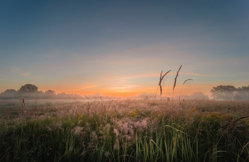 Туманный рассвет