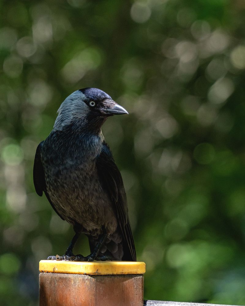 Photograph by Anton Leonchikov