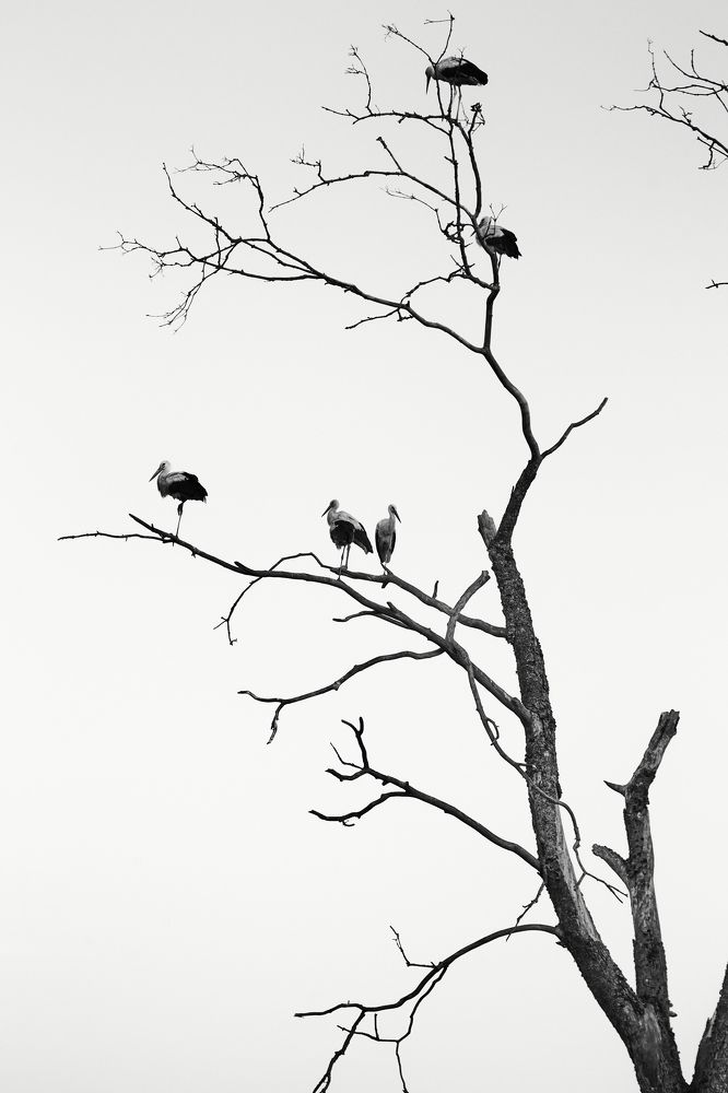 Photograph by Иван