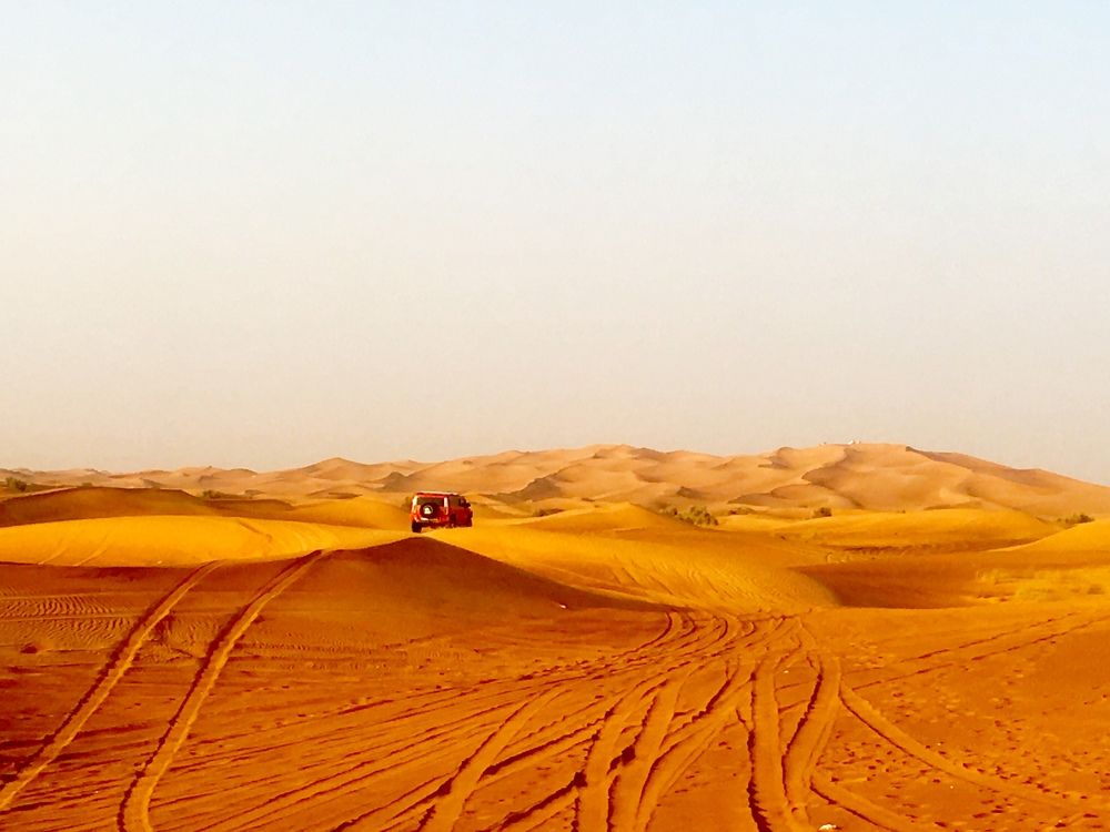 Photograph by Bhupendra Bagla