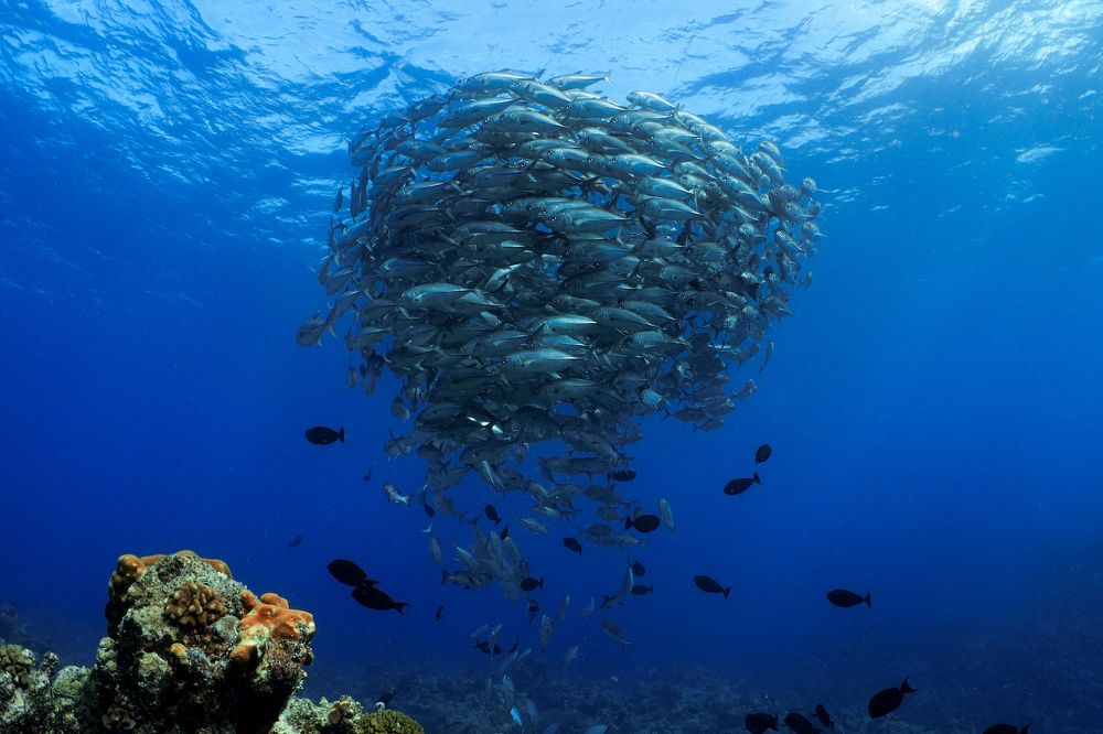 Photograph by Helena Lemos