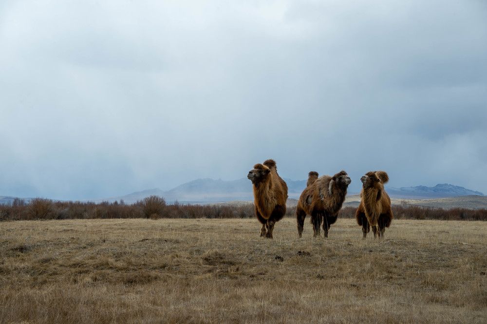 Photograph by Сергеев Айпалат