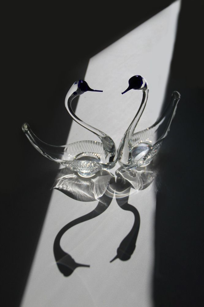 Photograph by Хайбуллина Флора