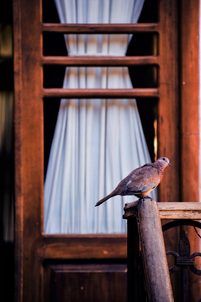 Photograph by Mohammad Ali Akhoundian Torshizi
