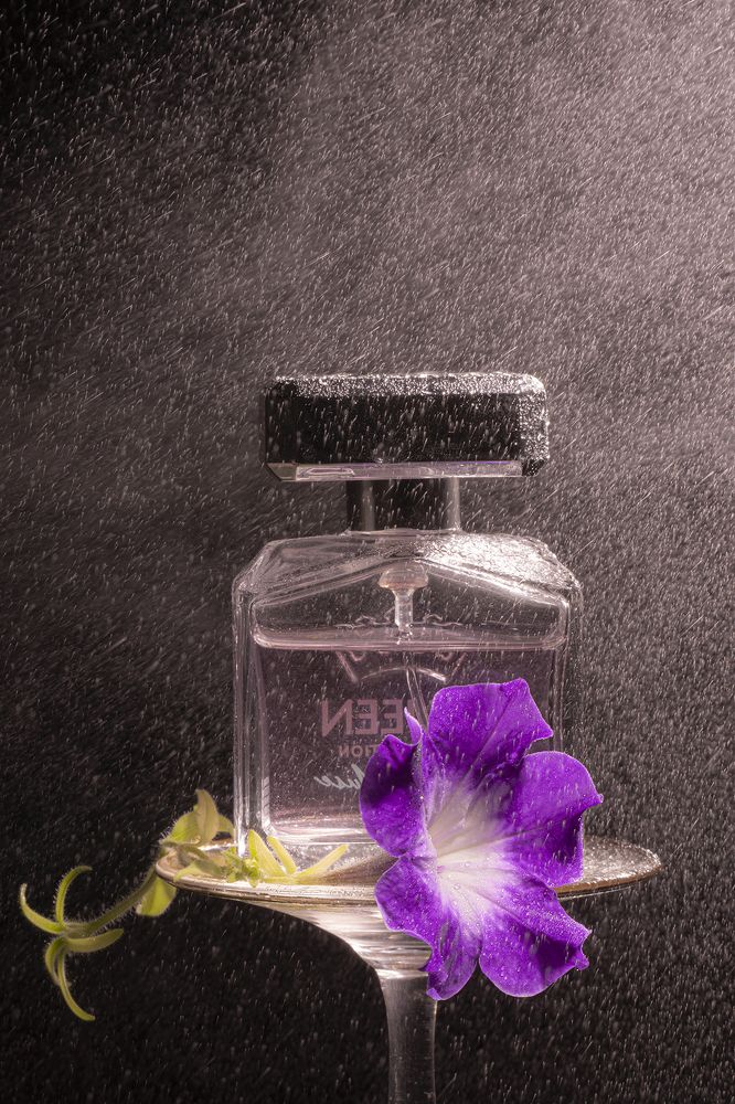 Photograph by Екатерина Бурикова