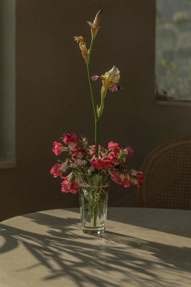 Photograph by Taтьяна Войлокова