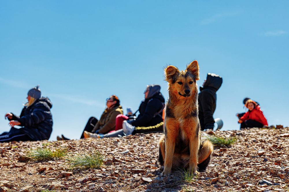 Photograph by Дмитрий Бровко