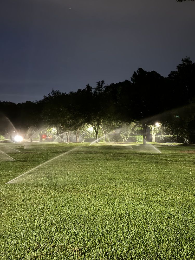 Photograph by Мария Кириллова