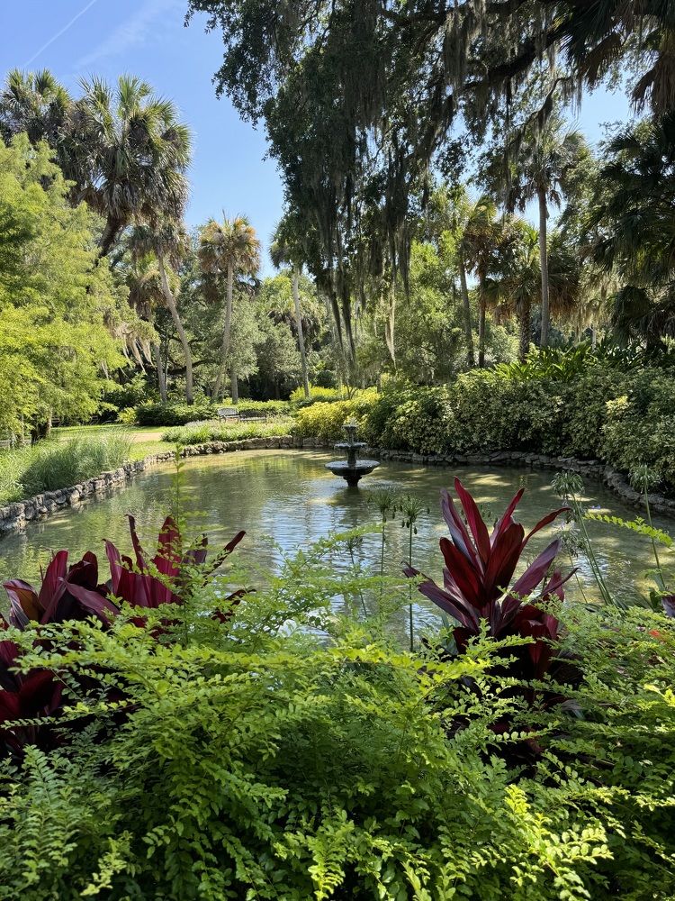 Photograph by Мария Кириллова