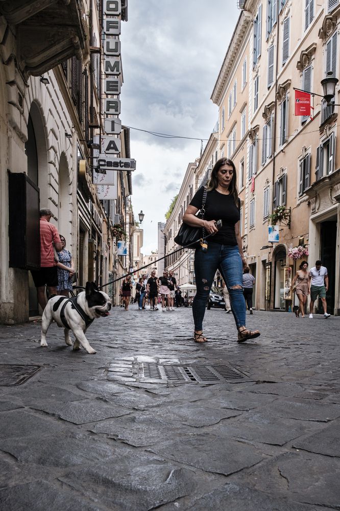 Фотография автора Sérgio Bruno Brandão