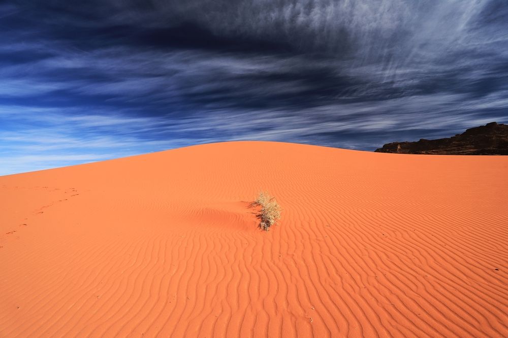 Photograph by Максимушкина Ольга