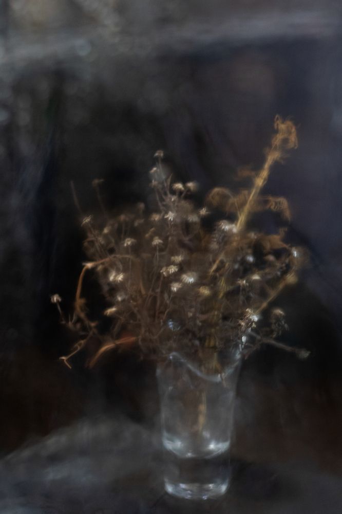 Photograph by Анастасия Трофимовская