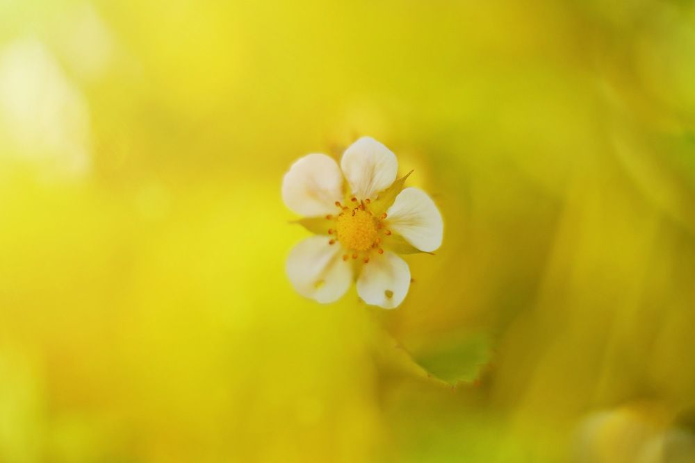 Photograph by Natalia Novkis
