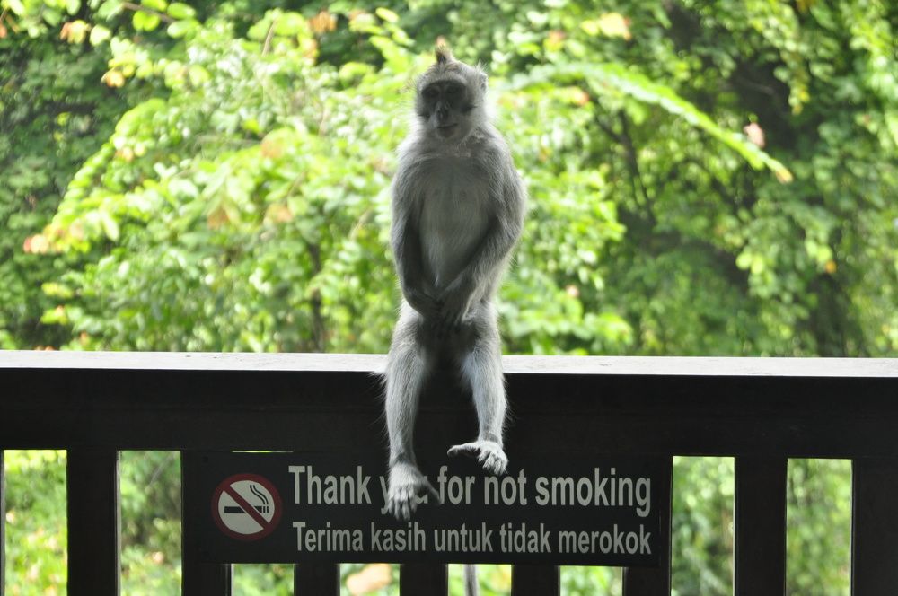 Photograph by Новкис Наталья