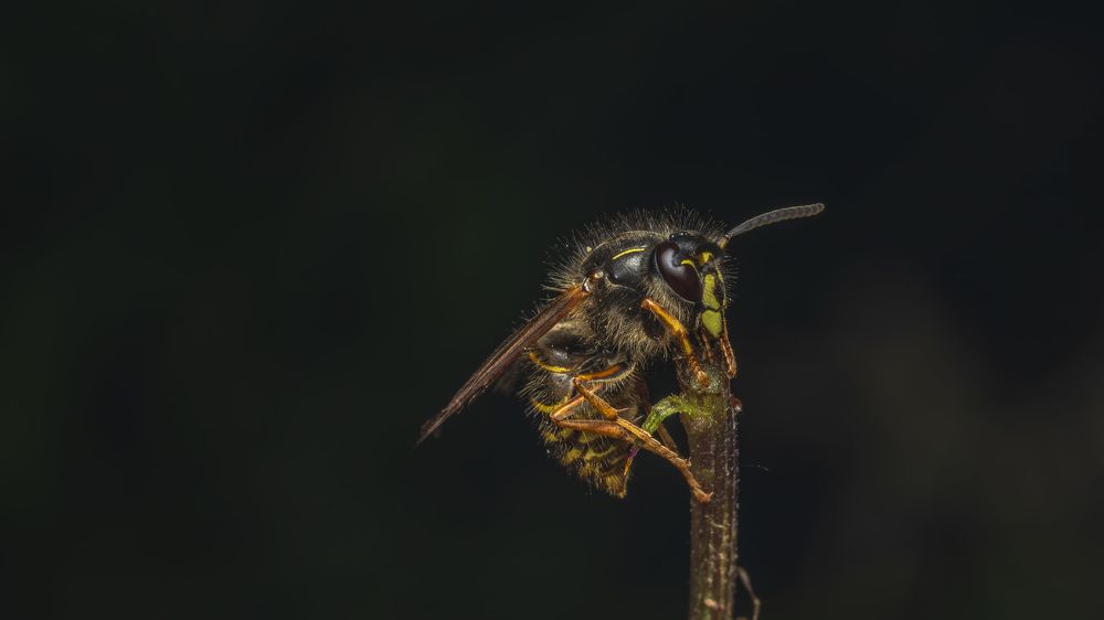 Photograph by Andrei Sabanov