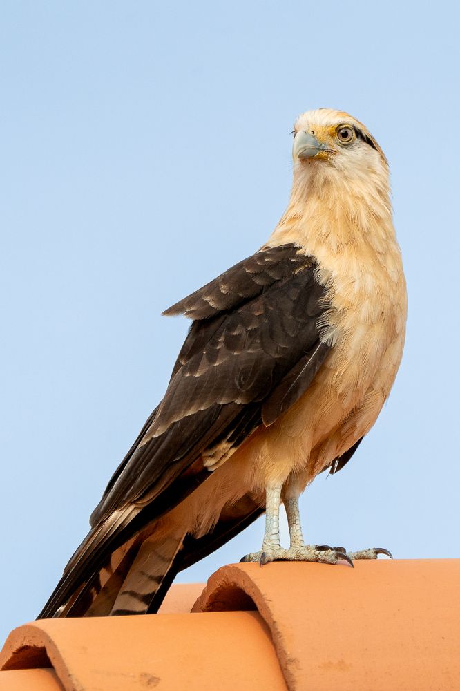 Photograph by María Paula Lozano