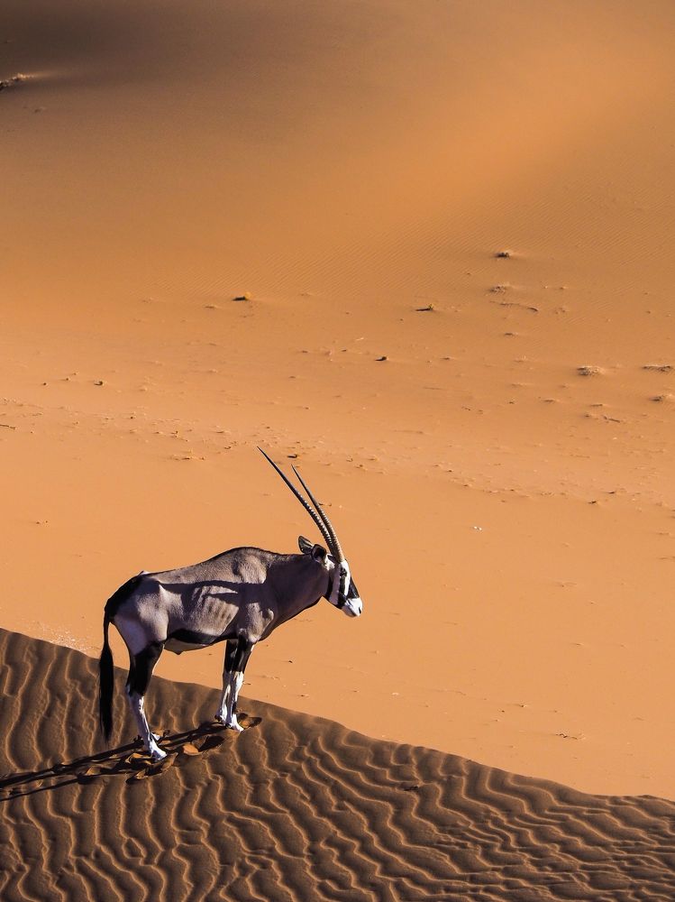 Photograph by Павел Сазанов