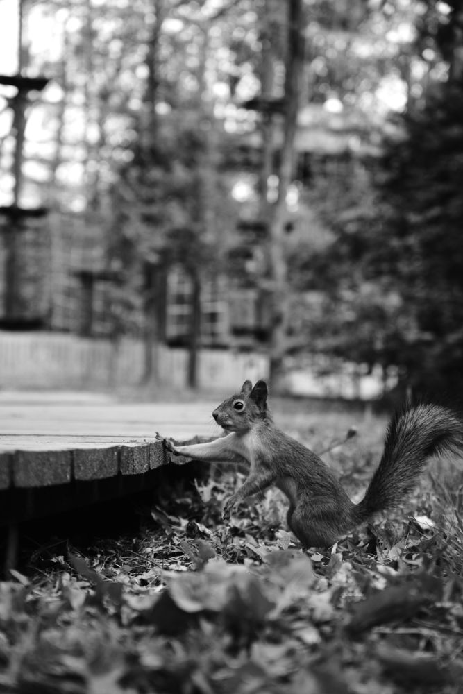 Photograph by Андрей Шелуков