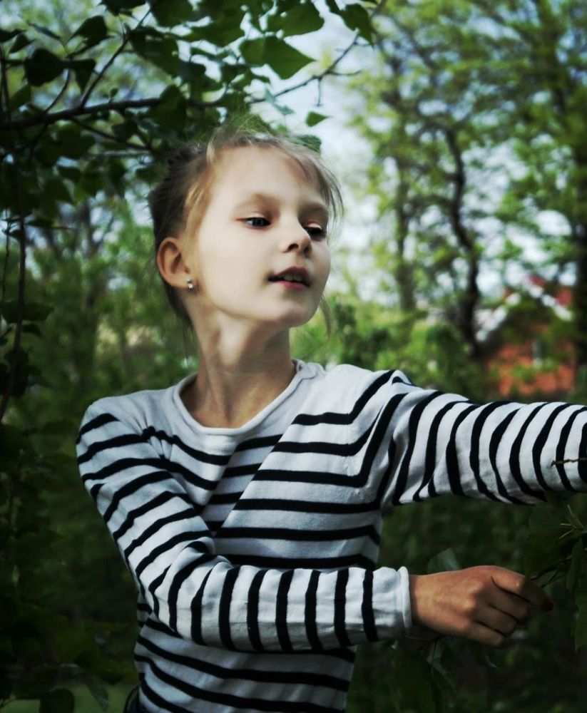Фотография автора Алексей Соколов