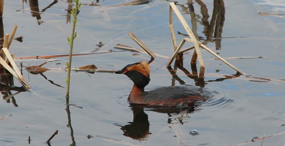 Фотография автора Игорь