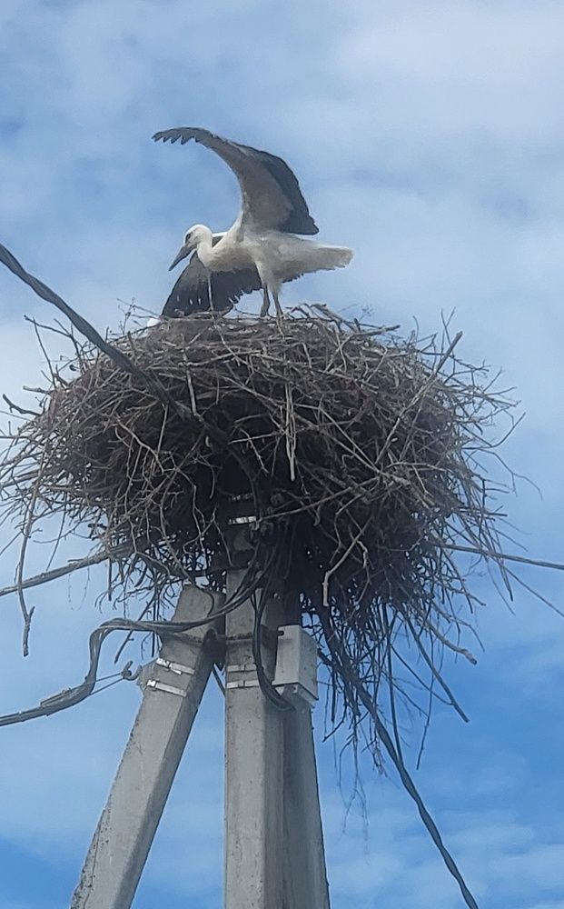 Photograph by Игорь