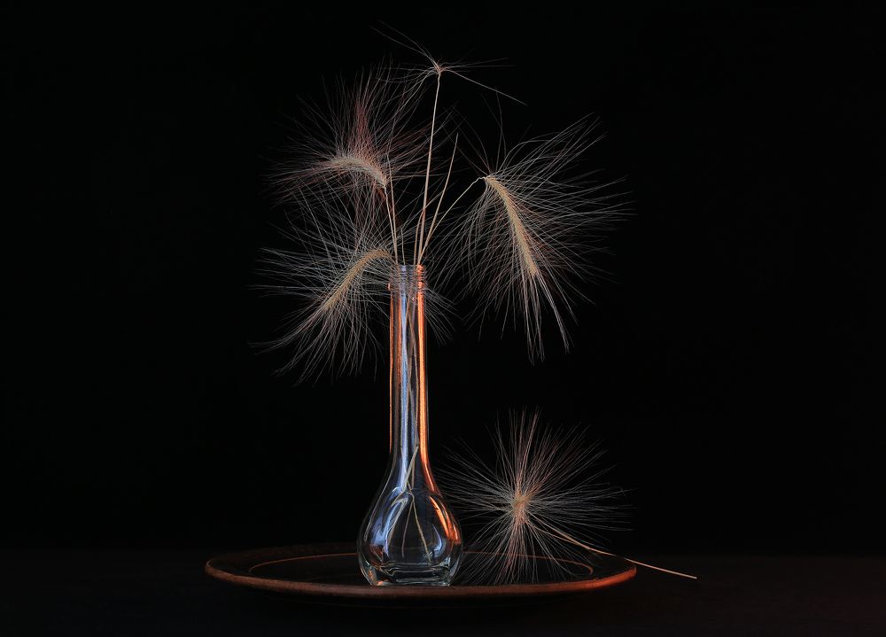 Колючая нежность