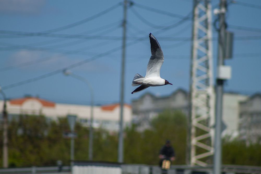 Photograph by Владислав Капанов