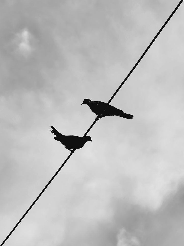 Photograph by Ivan Avitia