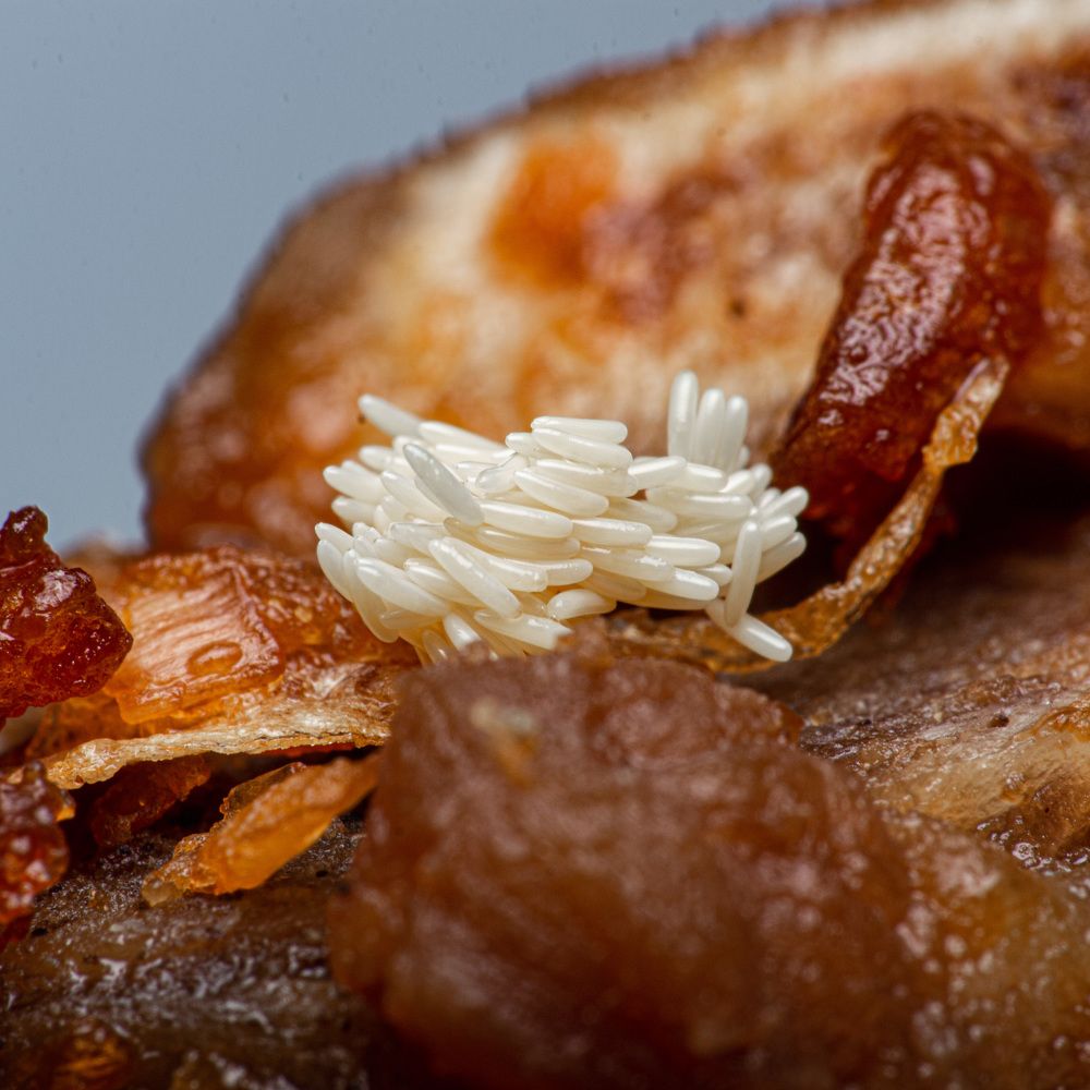 Фотография автора TRIEU NGUYEN-USA (USA)