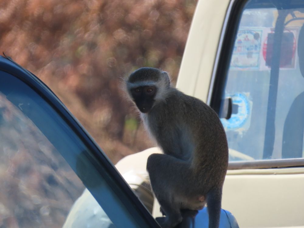 Photograph by mahboube moradalizade