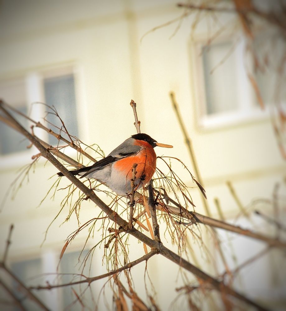 Photograph by Сергей Симаков