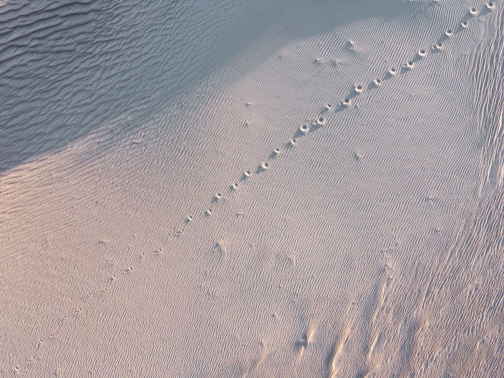 Photograph by Сергей Конюшенко