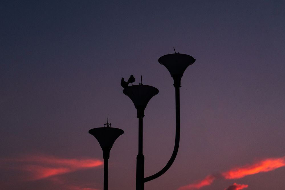 Photograph by SOUVIK PAL