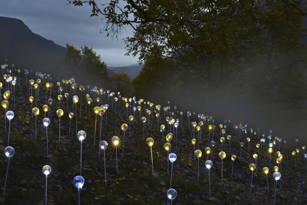 «Temporal Odyssey»