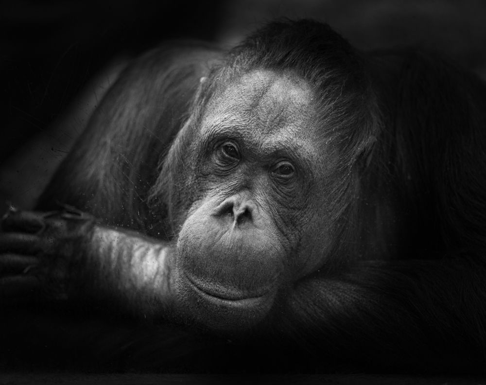 Photograph by Сергей Басов