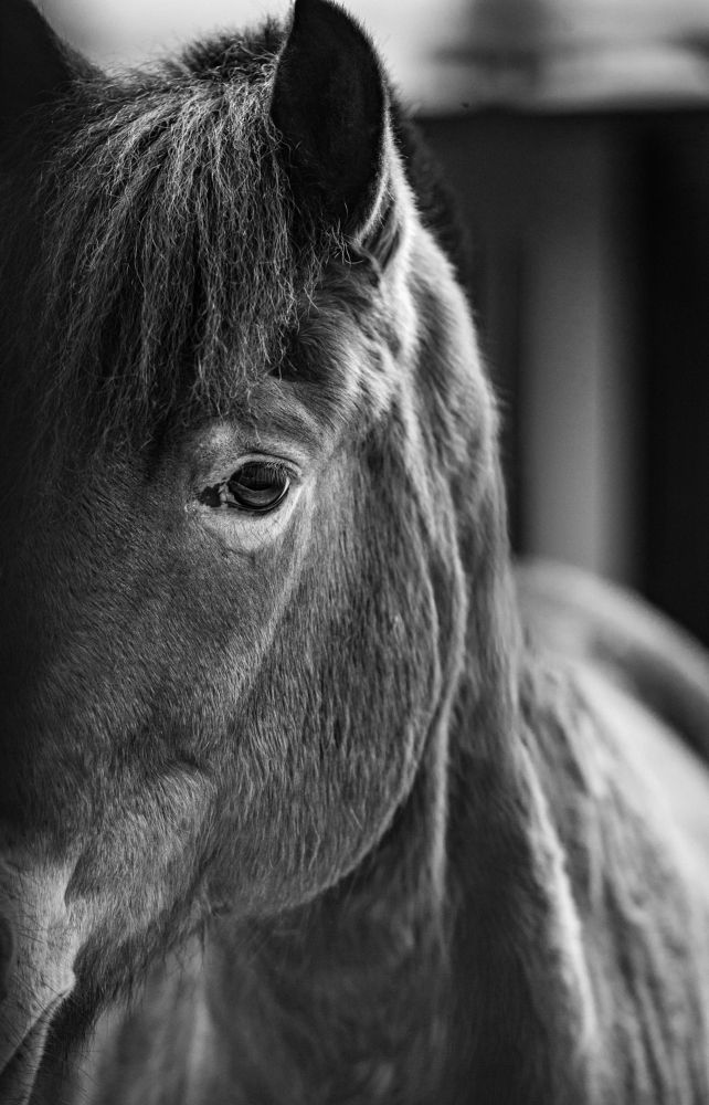 Photograph by Сергей Басов