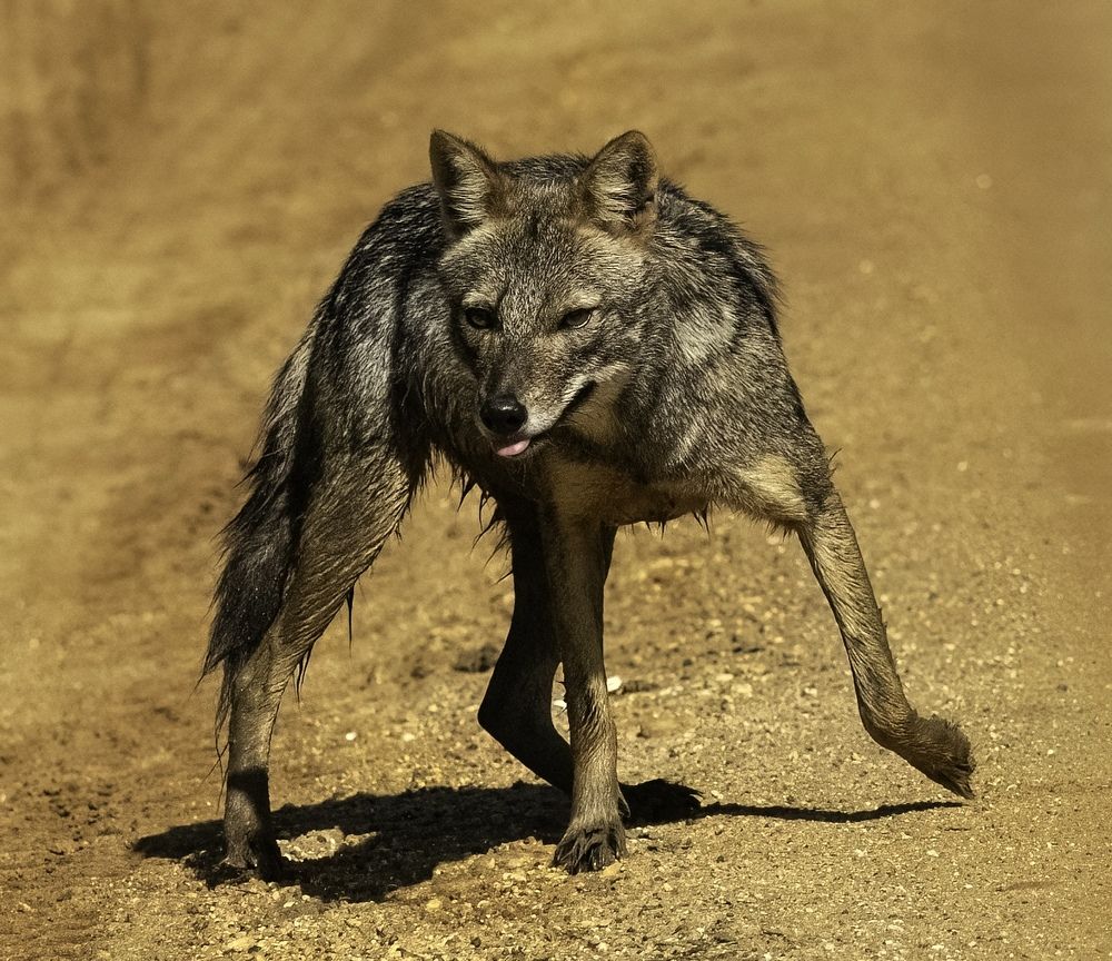 Photograph by HEMAMALI GUNASEKARA