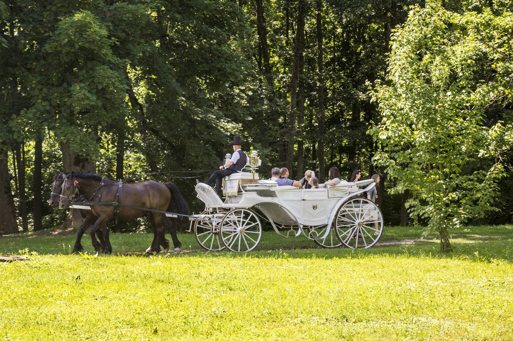 Фотография автора Нестеренко Светлана