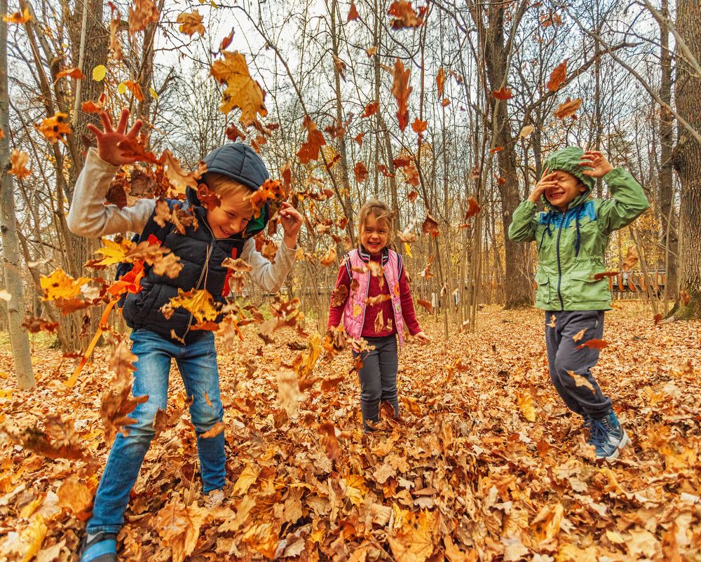 Photograph by Татьяна Макотра