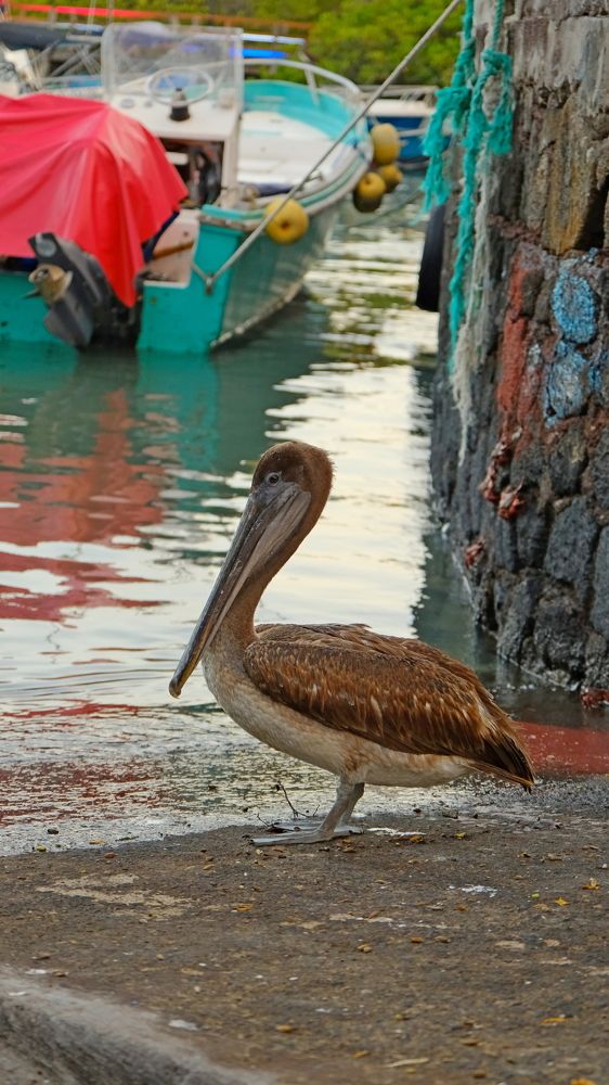 Photograph by Дарья Гаврилова