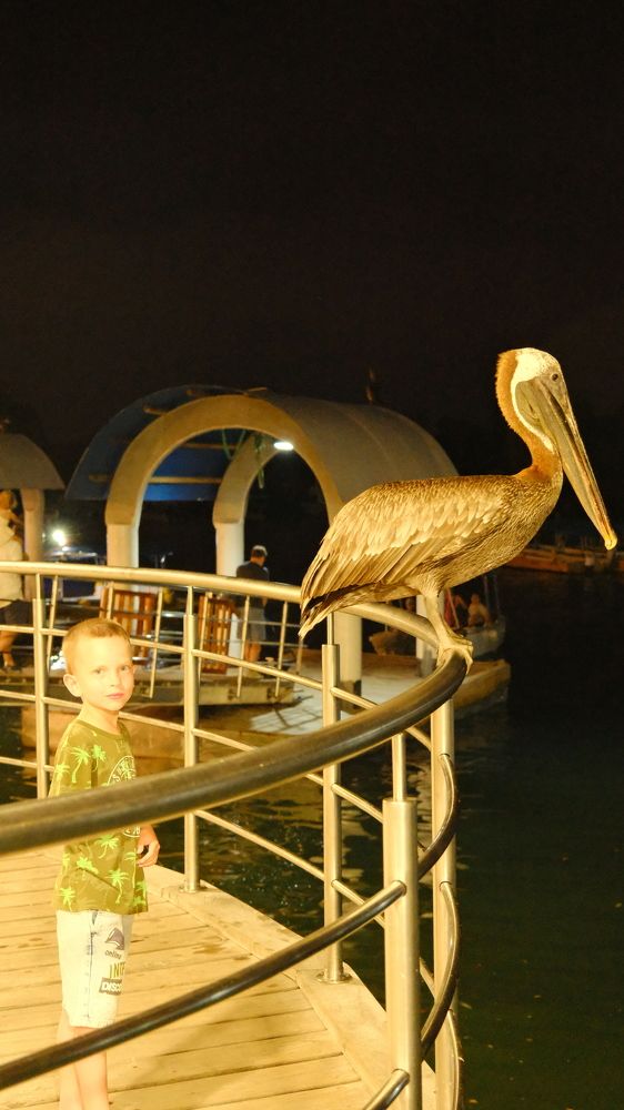 Photograph by Дарья Гаврилова