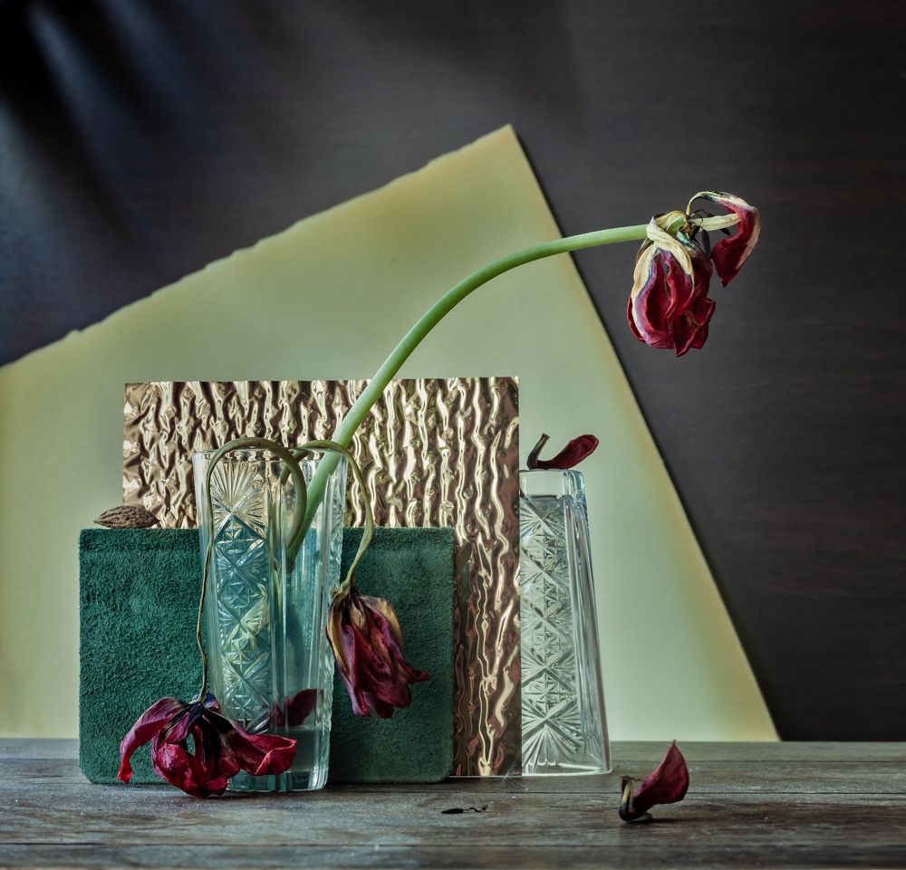 Photograph by Татьяна Макотра