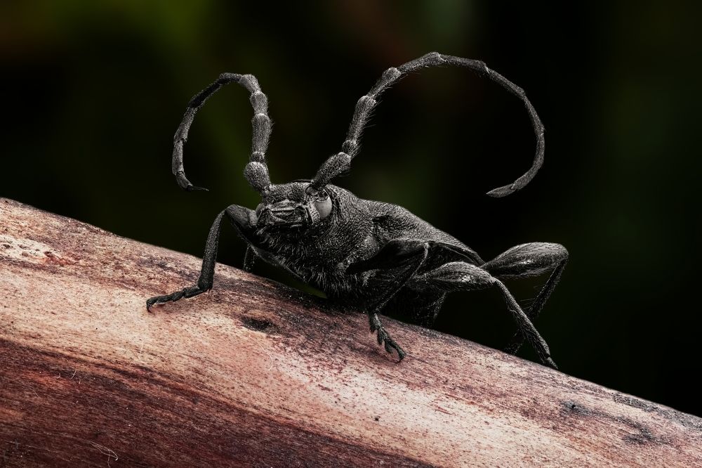 Фотография автора Роман Сергеевич