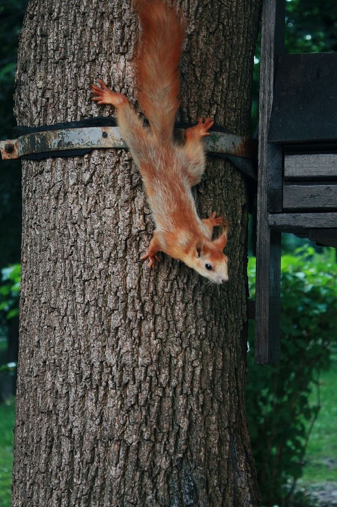 Photograph by Анастасия