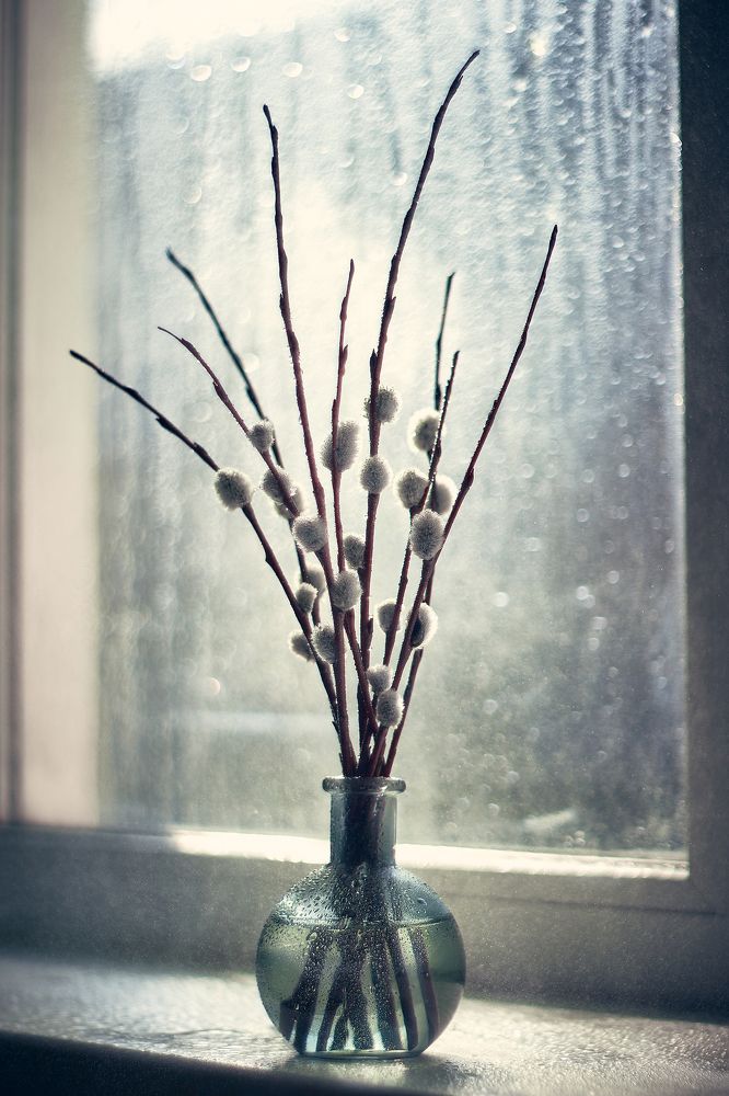 Фотография автора Андрей Алдошин