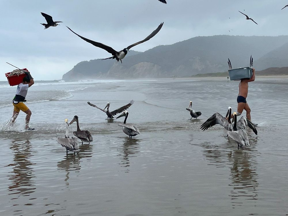 Photograph by Дарья Гаврилова