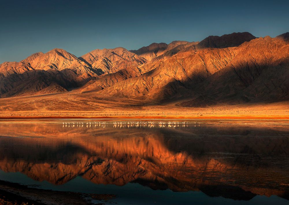 Photograph by Boris Bekelman