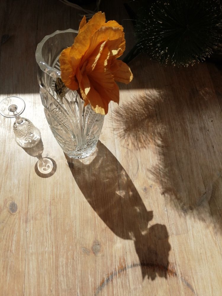 Photograph by Наталия