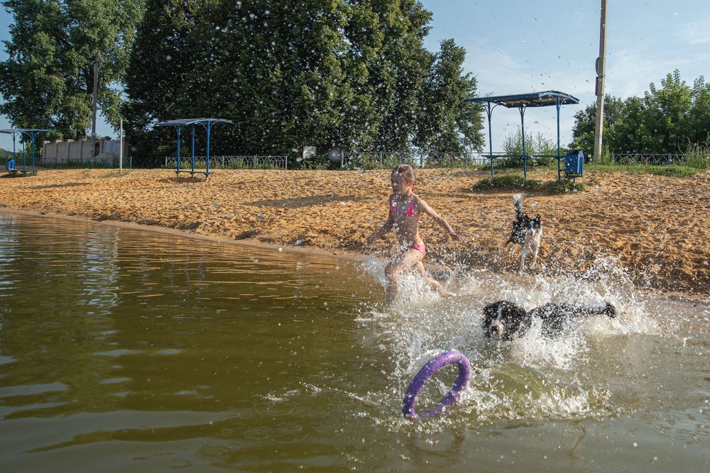 Photograph by наталья залогина